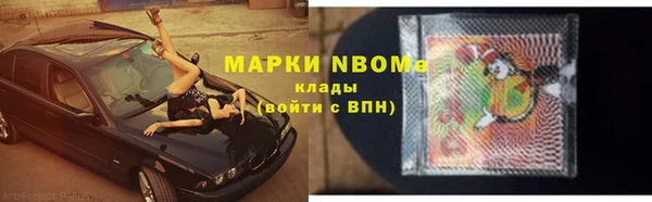 сатива Гусев