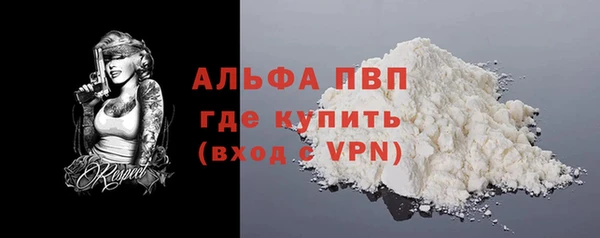 сатива Гусев