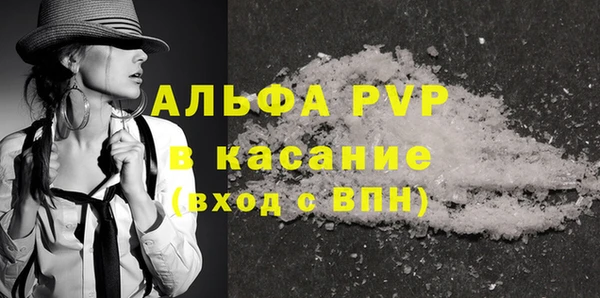 сатива Гусев