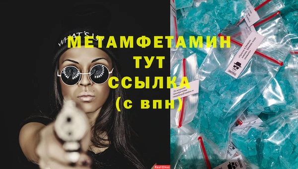 сатива Гусев