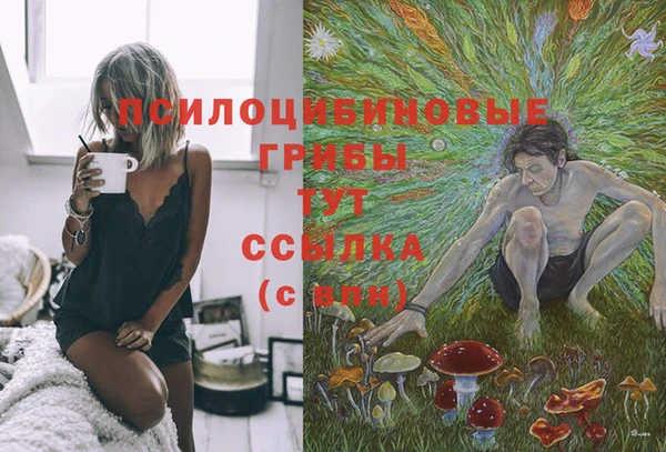 сатива Гусев