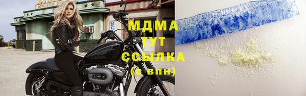 сатива Гусев